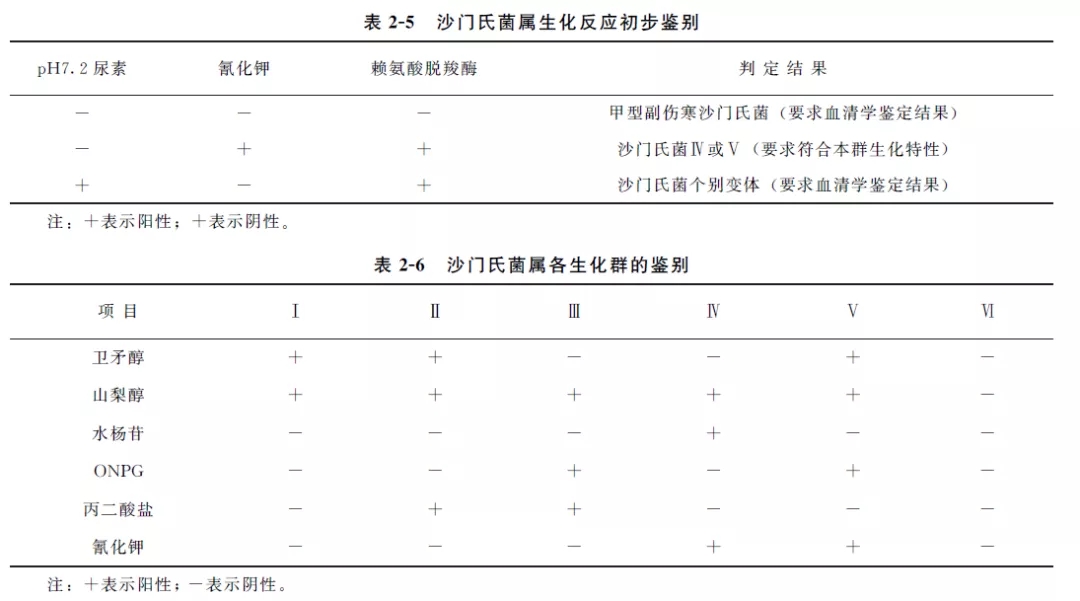 沙門(mén)氏菌屬生化反應(yīng)初步鑒別